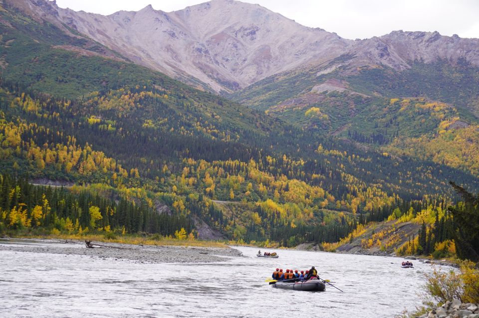 Alaska: Denali National Park Class I-II Rafting Tour - Activity Overview