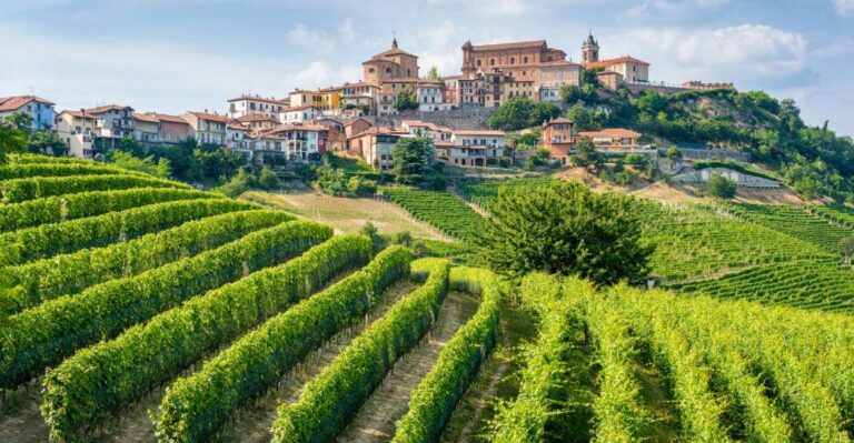 Alba: Barolo Castle, Alfieri Vineyards, And Truffle Lunch Taking In Barolo Castles History