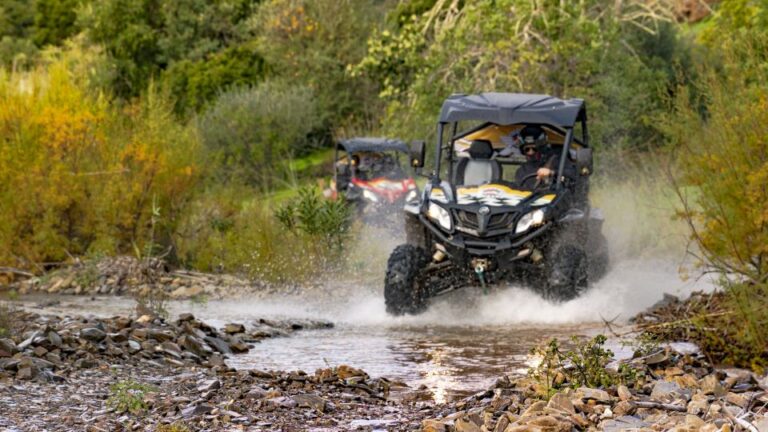 Albufeira: Full Day Off Road Buggy Tour With Lunch & Guide Overview Of The Tour