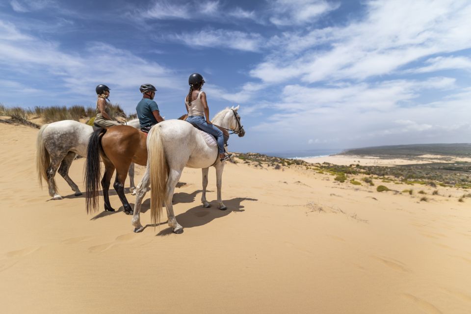 Algarve: 1-Hour Carrapateira Horseback Riding Tour - Tour Overview