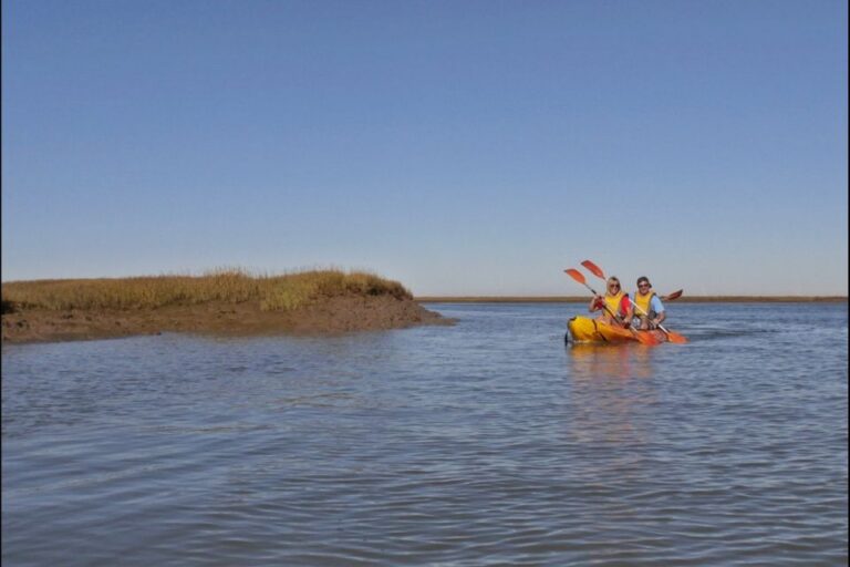 Algarve: 2 Hour Ria Formosa Kayak Tour From Faro Tour Overview