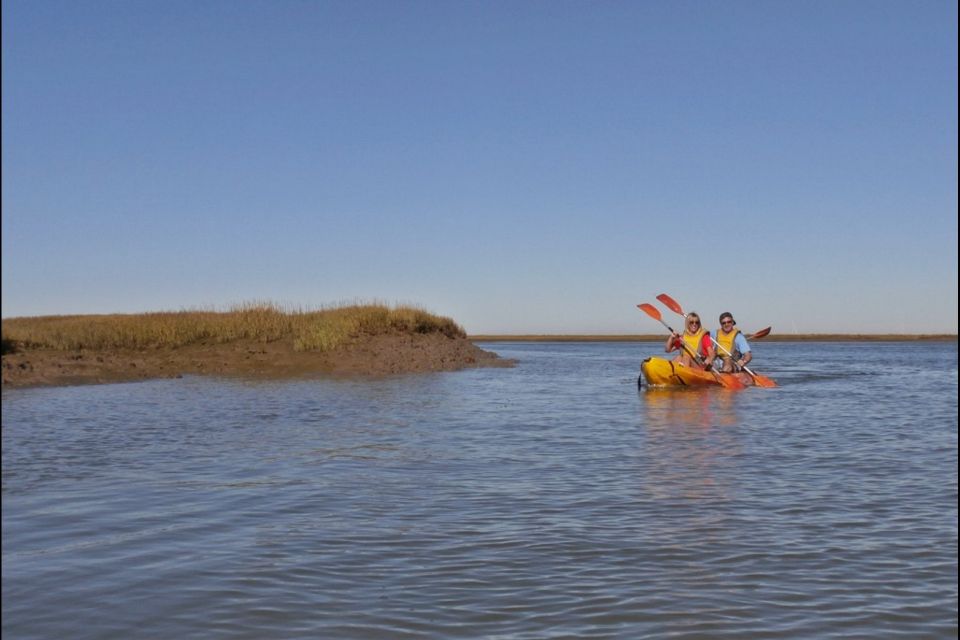 Algarve: 2-Hour Ria Formosa Kayak Tour From Faro - Tour Overview