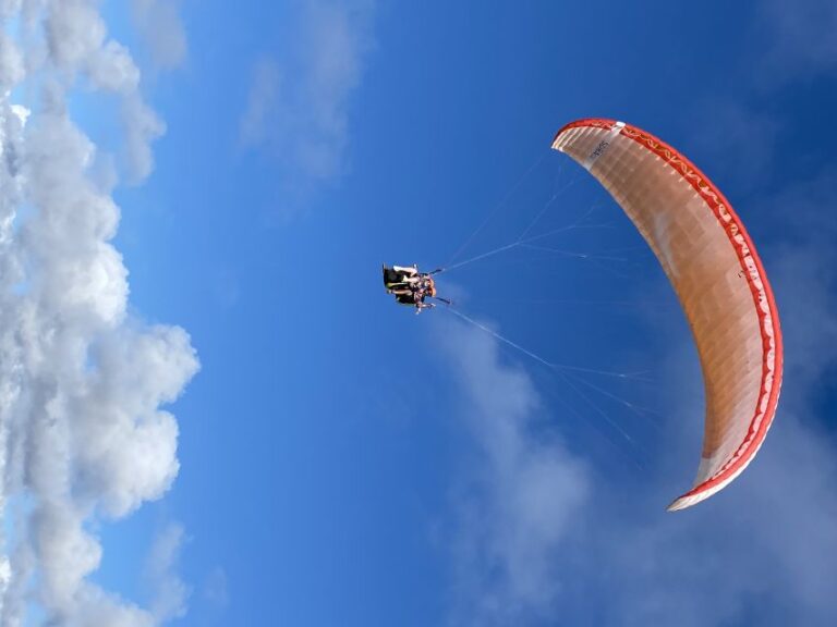 Algarve Coast: Scenic Paragliding Experience Algarve Coastal Panorama