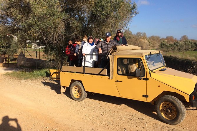 Algarve Jeep Safari Day Trip Inclusions And Logistics