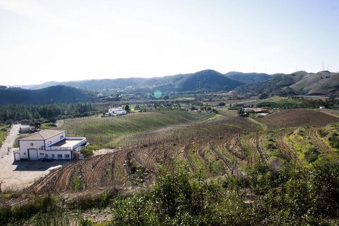 Algarve Wine Tour Of Two Wine Estates Overview Of The Tour