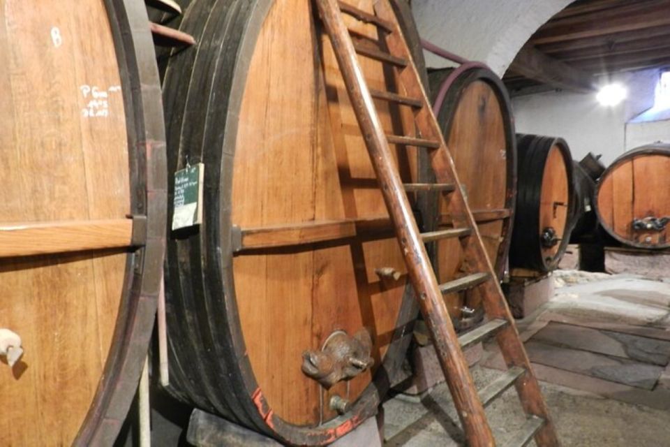 Alsace: Half-Day Wine Tour From Colmar - Overview of the Tour