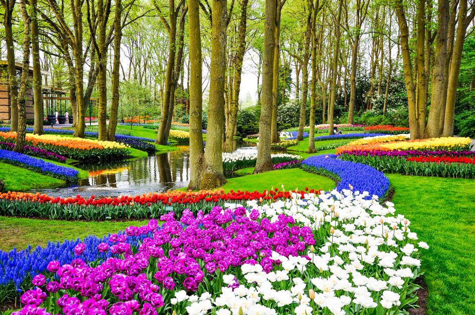 Amsterdam: Keukenhof Entry and Roundtrip Shuttle Transfer - Tour Overview and Pricing