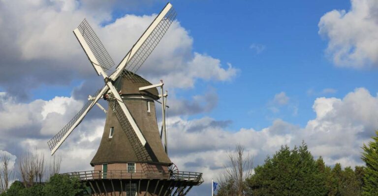 Amsterdam: Windmill Guided Tour Tour Overview