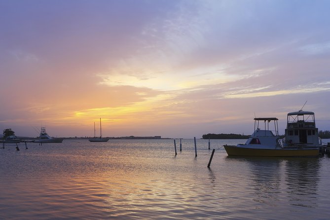 An Evening on the Lagoon: Martha Rafting, Luminous Lagoon and Falmouth Highlight - Included Activities