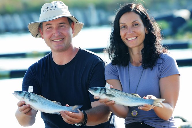 An Unforgettable Day With Fish, Wine And Olive Oil Tasting Meeting Point And Pickup