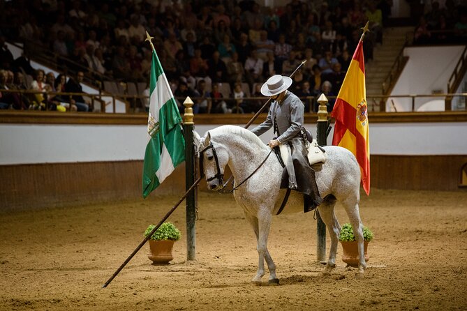 Andalusian Horses Dance Show Highlights Of Spanish Horsemanship