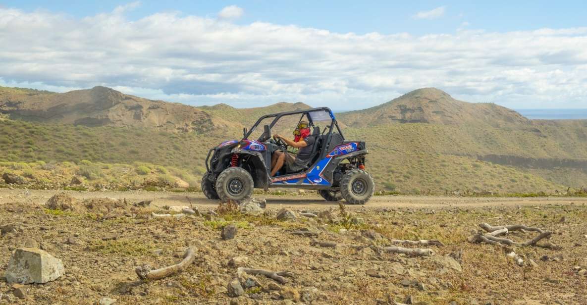 Anfi Beach: Guided Buggy Tour. - About the Activity