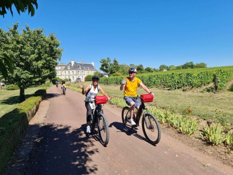 Angers: Cycling Tour With Wine Tastings! Tour Overview