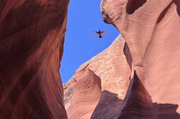 Antelope Canyon: Rattlesnake Canyon Tour Overview Of The Tour