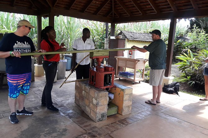 Appleton Estate Rum And Pelican Bar Private Tour From Montego Bay Inclusions And Costs