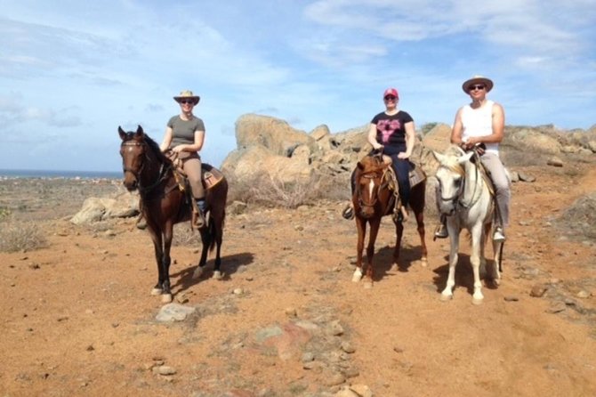 Aruba Private, 2 Hour Horseback Riding Tour For Advanced Riders Included In Tour