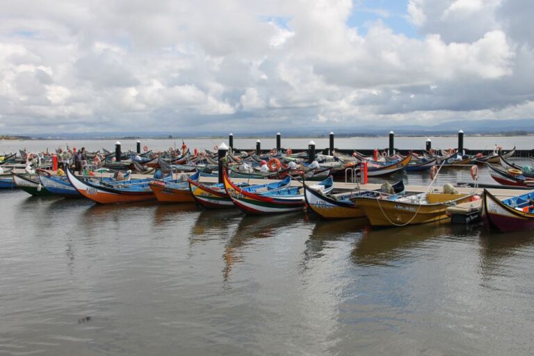 Aveiro Private City Tour With 1 Hour Local Boat Cruise & Egg Sweets Tour Overview