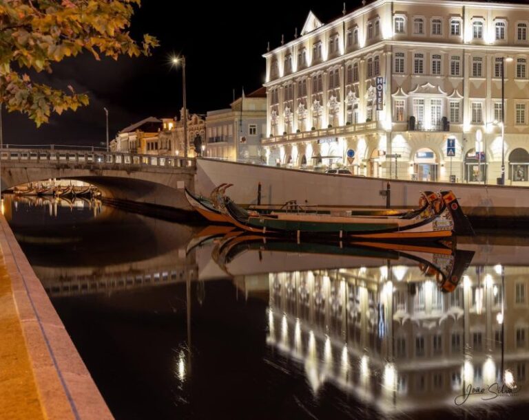 Aveiro To Porto Airport Transfer Service Highlights