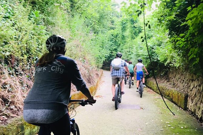 Backroads & Limoncello Experience: Sorrento E Bike Tour Tour Overview