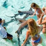 Bahamas Swimming Pigs Full Day Exuma Boat Tour Inclusions And Amenities Offered