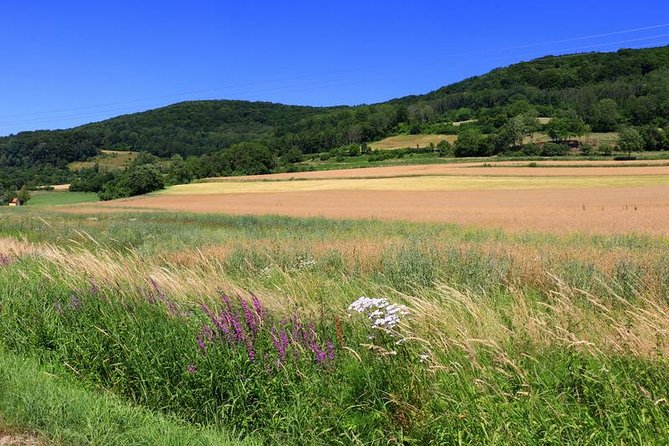 Bamberg Countryside Breweries Beer Hike Food Experience (departs Bamberg) Scenic Countryside Hike