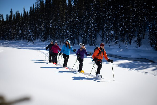 Banff National Park Snowshoeing Adventure | Small Group Guided Tour Tour Details