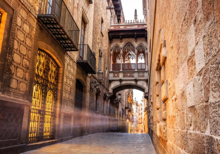 Barcelona Gothic Quarter Private Walking Tour Tour Overview