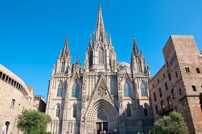 Barcelona Highlights Guided Tour & Optional Paella Experience Tour Overview