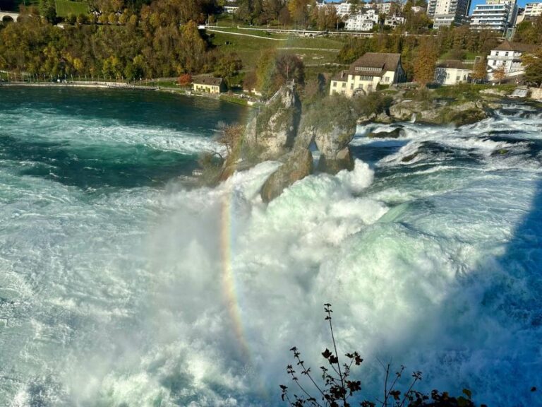 Basel: Schaffhausen & The Rhines Largest Falls Private Tour Tour Overview