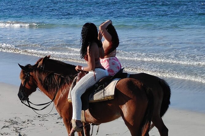 Beach Macao Horseback Riding From Punta Cana Riding Experience