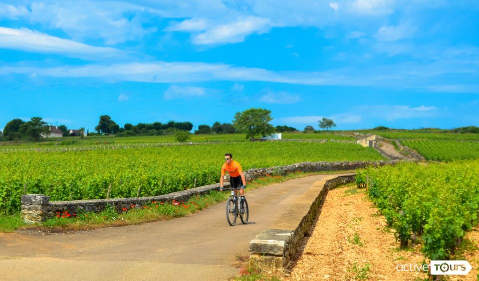 Beaune: Winery Tour by Bike With Wine Tasting - Tour Overview