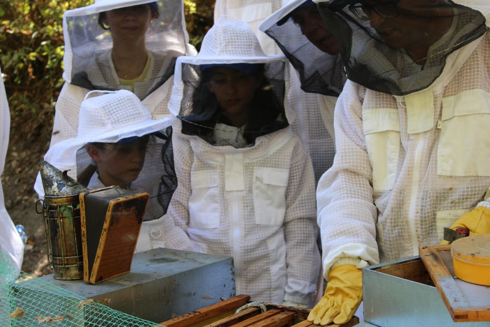 Beekeeping Tour in Amarante With Honey Tasting - Overview and Pricing