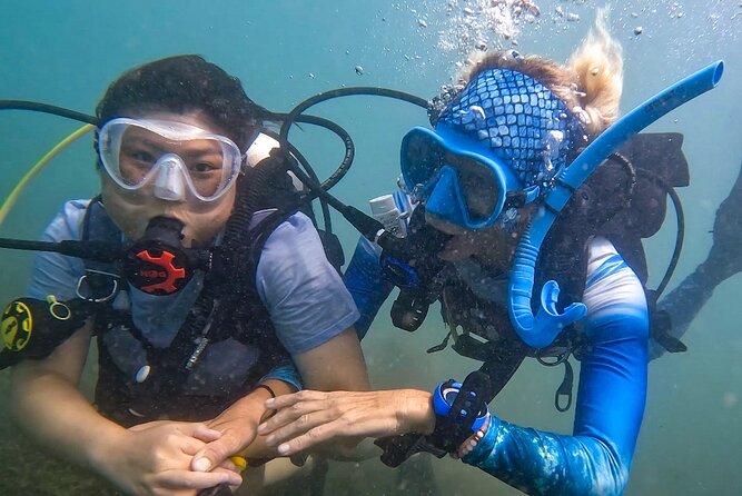 Beginner SCUBA Diving in Old San Juan