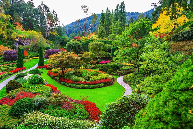 Best Of Victoria Group Tour W/ Malahat Skywalk & Butchart Gardens Tour Overview