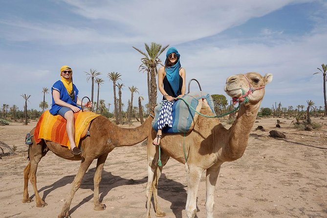 Best Sunset Camel Ride With Tea Break in Palm Grove of Marrakech - Camel Ride Through Palmeraie