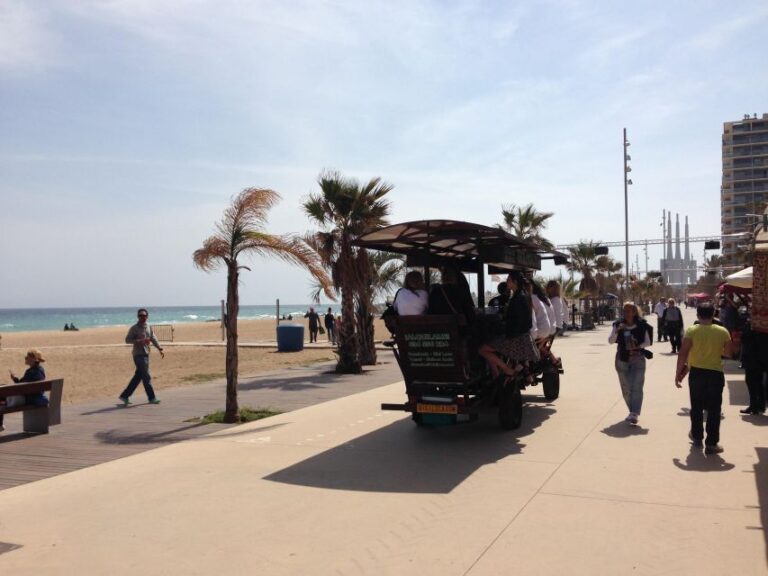 Bicycle Tour Malaga Overview Of The Bicycle Tour