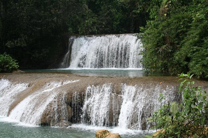 Black River Safari, Ys Falls And Floyds Pelican Bar Overview Of The Tour