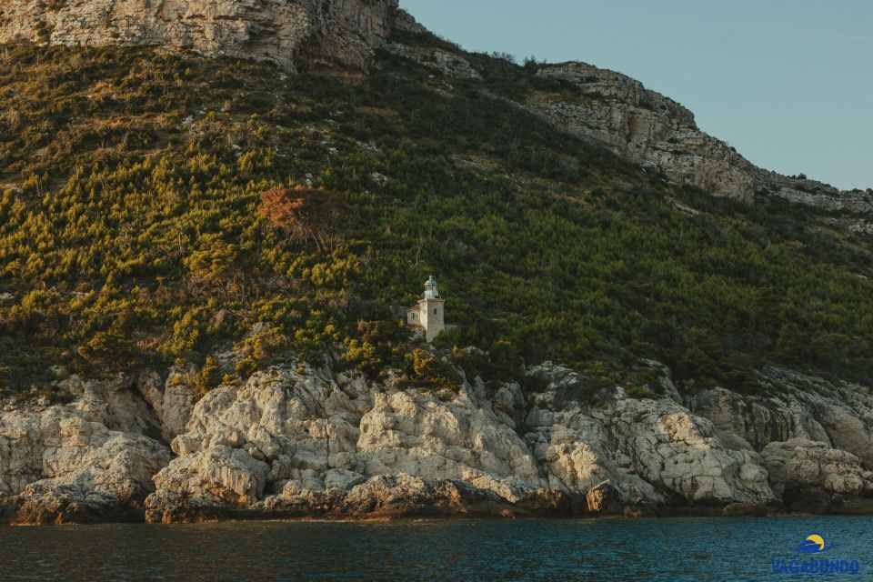 Boat Tour From Ston to Mljet National Park - Tour Overview