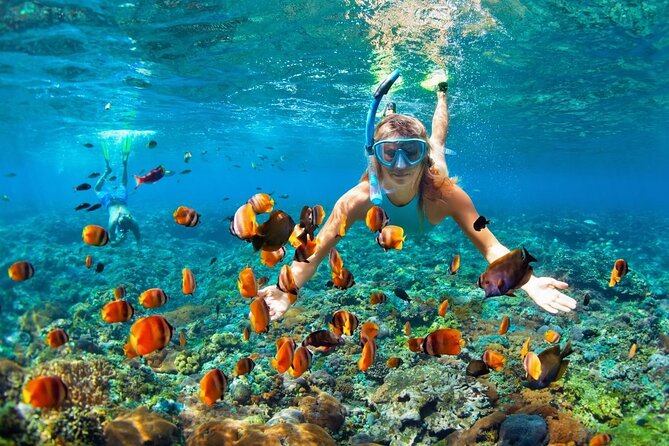 Boatride/snorkeling And Local Food Hunt In Montego Bay Activity Transportation And Pickup