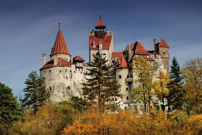 Bran (dracula) Castle, Bear Sanctuary, Rasnov Fortress & Palinca Distillery Visiting Rasnov Citadel