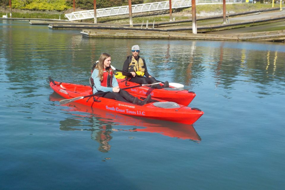 Brookings: Chetco River Kayak Tour - Overview of the Chetco River Kayak Tour