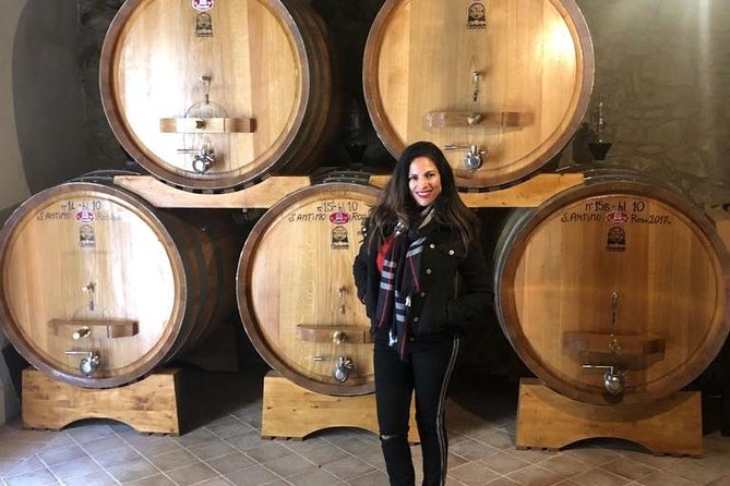 Brunello And Montepulciano Wine Tour From Cortona Winery Tours And Tastings