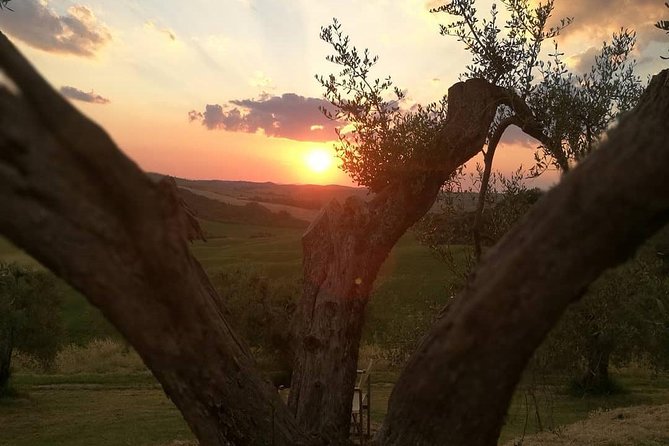 Brunello Wine Tour And Val D'orcia Landscape Discovering The History Of Brunello