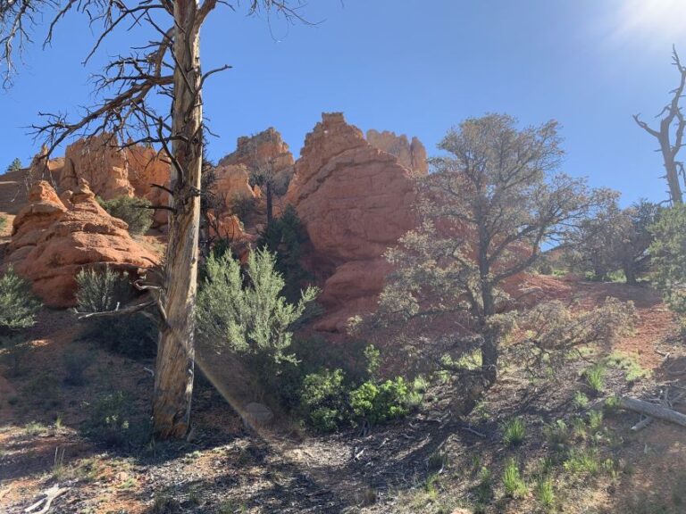 Bryce Canyon City: Horseback Riding Tour In Red Canyon Tour Overview