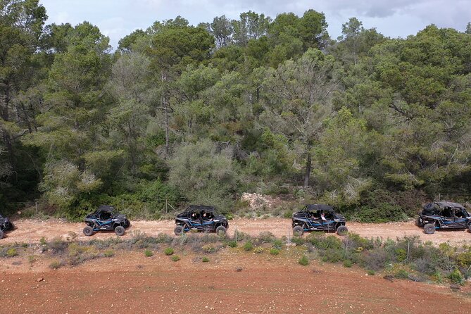 Buggy 2 Seater And 4 Seater Off On Road Tour In Mallorca Meeting And Pickup