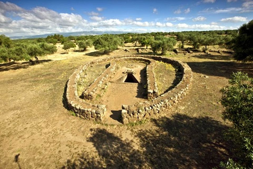 Cagliari: Full-Day Tour to Well Temple & Cabras Museum - Tour Details