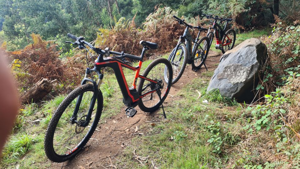 Camacha: Levada Trail E-Bike Guided Tour - Tour Overview and Details