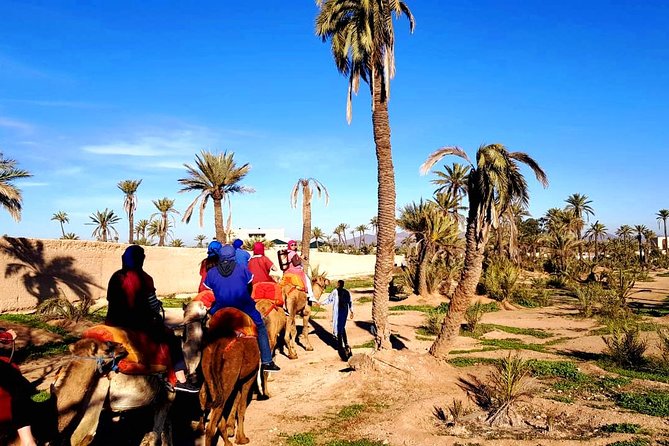 Camel Ride and Spa Treatment in Marrakech - Highlights of the Camel Ride