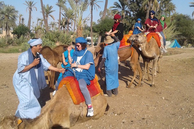 Camel Ride At Sunset In Marrakech Palm Grove Location And Meeting Point