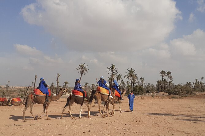 Camel Ride & Quad Bike Tours in the Palm Grove of Marrakech - Overview of the Tour